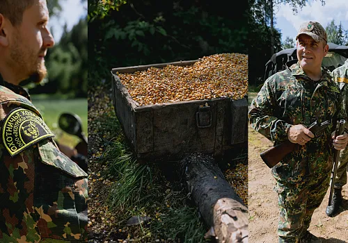 Охота в парк-отеле Медвежья гора