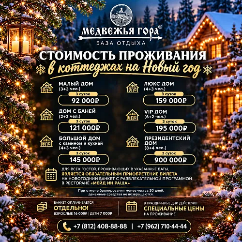 новый год