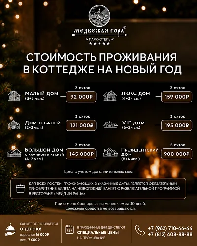новый год