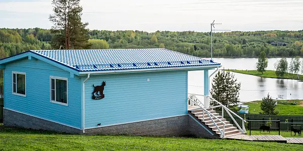 Дом с камином и кухней